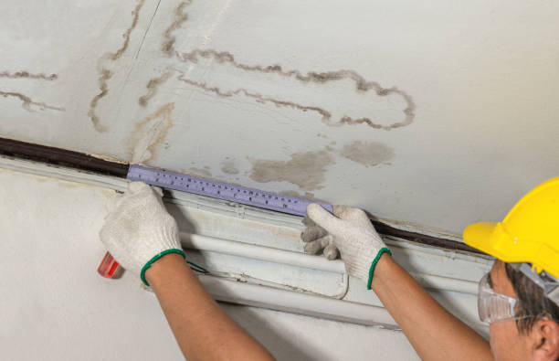 Reliable Burst Pipe Cleanup contractor in Plainview, TN by Water Damage Irwin